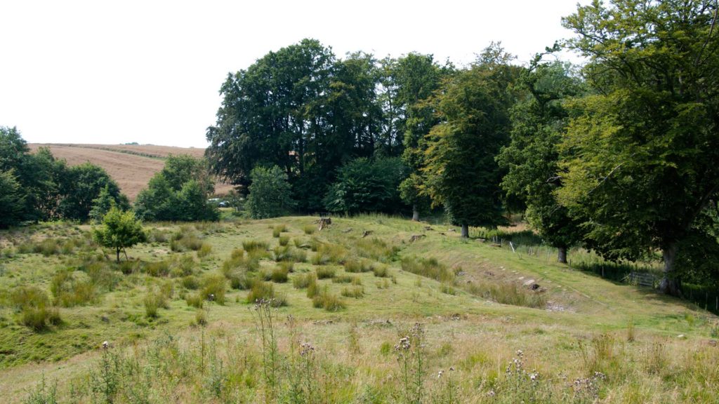 nyfaeste-voldsted-03