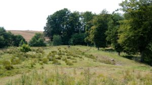 nyfaeste-voldsted-03